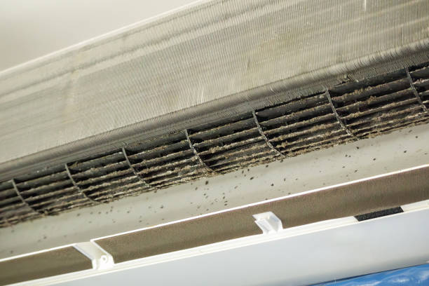 Best Professional Duct Cleaning Services  in South Padre Island, TX